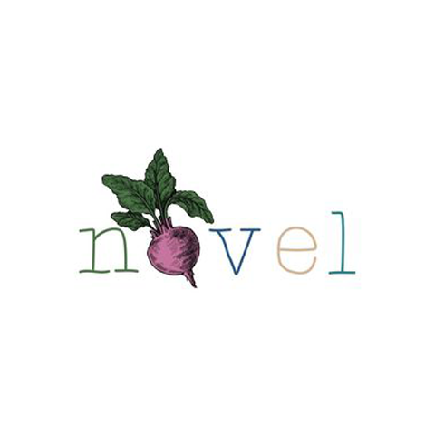 Novel